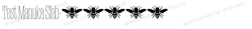 Test Manuka Slab字体转换